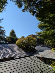 北側の庭よりみる林芙美子記念館